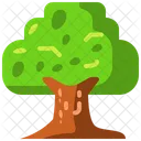 Árbol  Icono