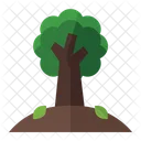 Árbol  Icono