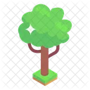 Verdor Arbol Arbusto Icon