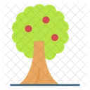 Árbol  Icon