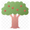 Árbol  Icono