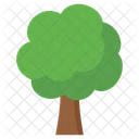 Arbol Naturaleza Planta Icono