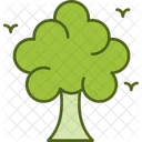 Arbol Naturaleza Planta Icon