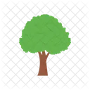 Arbol Jardin Joshua Tree Icono