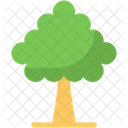 Árbol  Icono