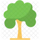 Árbol  Icono