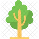 Árbol  Icono