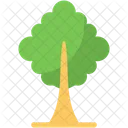 Árbol  Icono