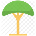 Árbol  Icono