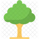 Árbol  Icono