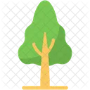 Árbol  Icono