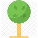 Árbol  Icono