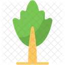 Árbol  Icono