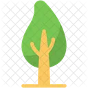 Árbol  Icono