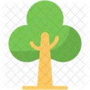 Árbol  Icono