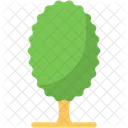 Árbol  Icono