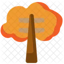 Árbol  Icono