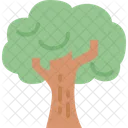 Árbol  Icono