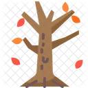 Árbol  Icono