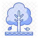 Árbol  Icon