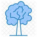 Árbol  Icon