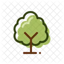 Árbol  Icono