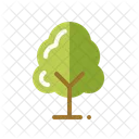 Árbol  Icono