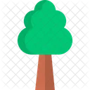 Árbol  Icon