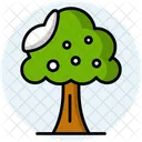 Arbol Icono