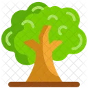 Árbol  Icono