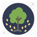 Arbol Semillas Plantacion Icon