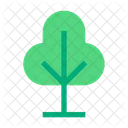 Arbol Naturaleza Planta Icon