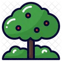 Arbol Icono