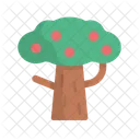 Árbol  Icono