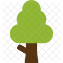 Árbol  Icono