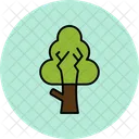 Árbol  Icon