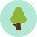 Árbol  Icon