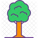 Árbol  Icon