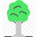 Árbol  Icon