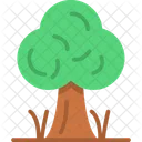 Árbol  Icono