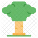 Árbol  Icono