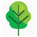Árbol  Icono