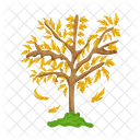 Árbol  Icono