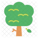 Árbol  Icono