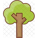 Árbol  Icono