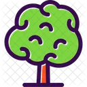 Árbol  Icon