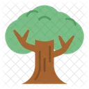 Árbol  Icono