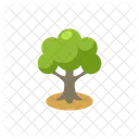 Arbol Bosque Verdor Icon