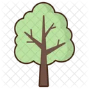 Árbol  Icon