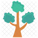 Árbol  Icon